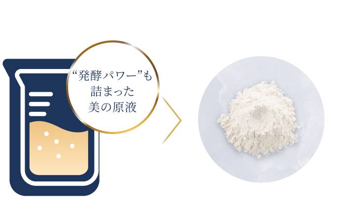ヒアルモイスト乳酸菌液 ヒアルモイスト乳酸菌末