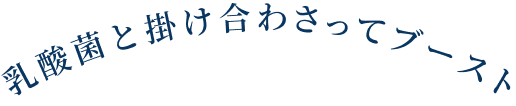 乳酸菌と掛け合わさってブースト