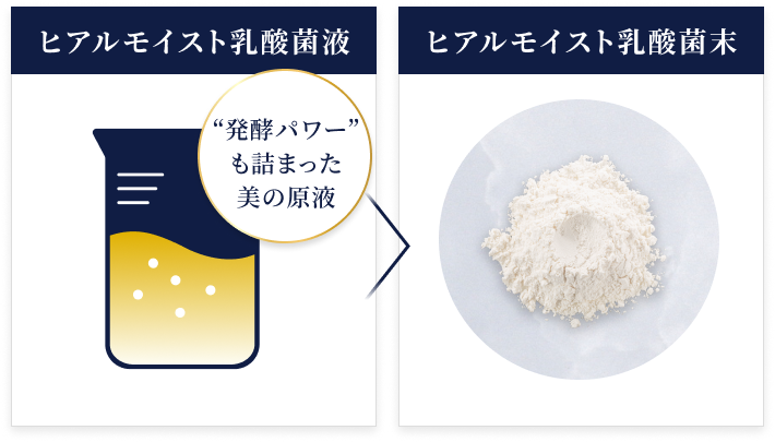 ヒアルモイスト乳酸菌液 ヒアルモイスト乳酸菌末